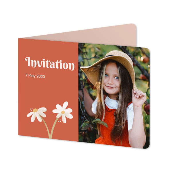 SpringFlowerDaisy SpringFlowerDaisy