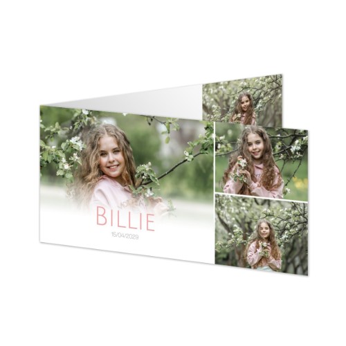 Gevouwen Kaart Panorama liggend 19,6 x 9,3 cm