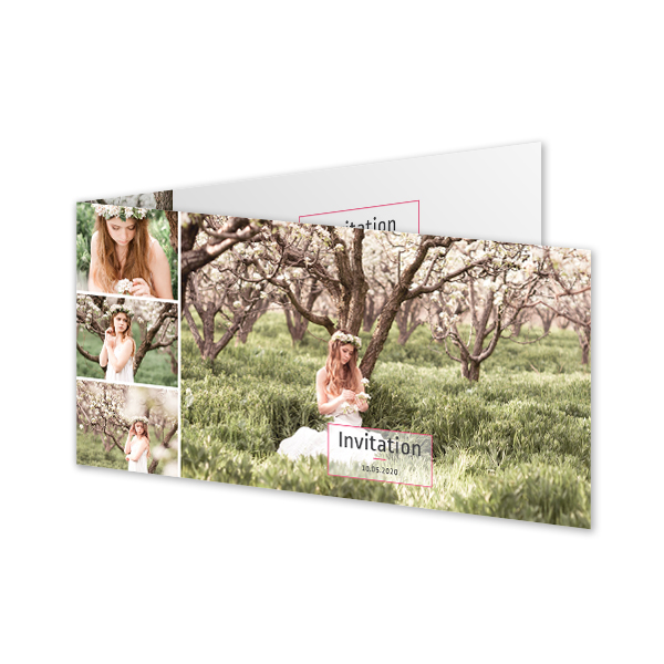 ColoredFrameWhiteFill