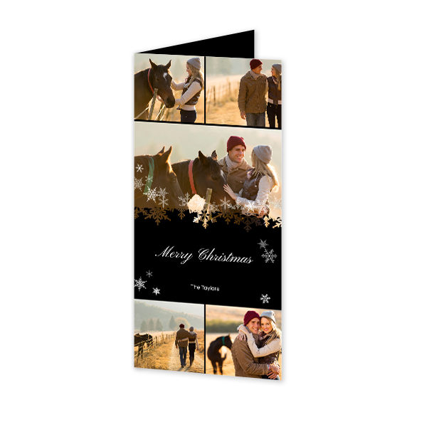 SnowOnColoredBackground