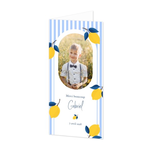 Motif citrons Motif citrons