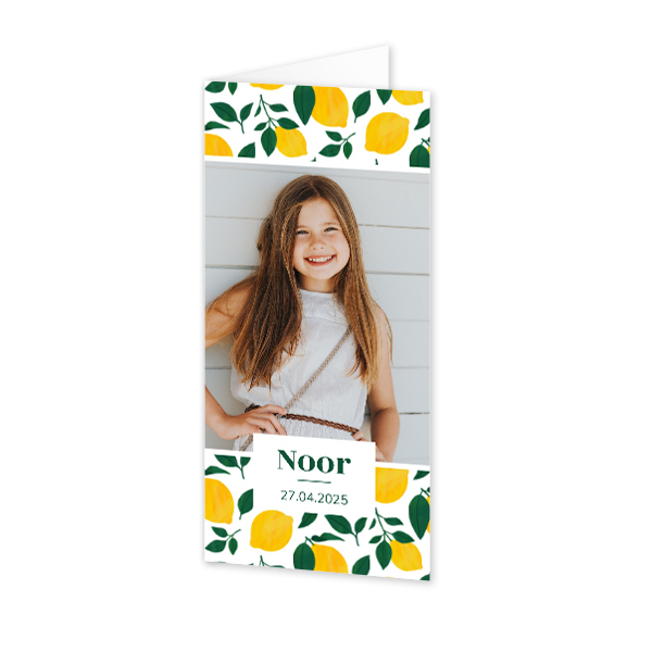 Foldede Fotokort Pano Portræt 9,3 x 19,6 cm