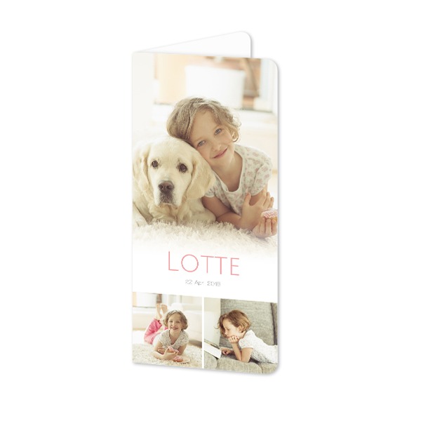 Folded Card Panoramic portrait rounded corners 9,3 x 19,6 cm Folded Card Panoramic portrait rounded corners 9,3 x 19,6 cm