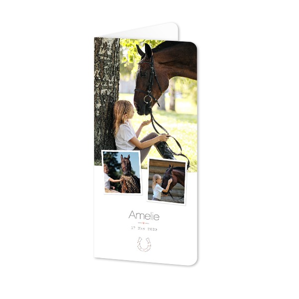 Folded Card Panoramic portrait rounded corners 9,3 x 19,6 cm