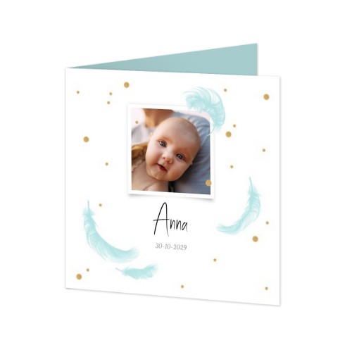 Federn und goldene Funken Federn und goldene Funken