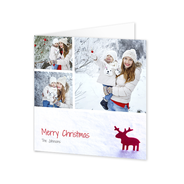 RudolfSnow RudolfSnow