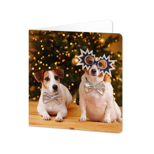 Doble Fotokort kvadratisk runde hjĂžrner 14,3 x 14,3 cm Doble Fotokort kvadratisk runde hjĂžrner 14,3 x 14,3 cm