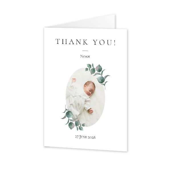 ClassicBotanicPlant ClassicBotanicPlant