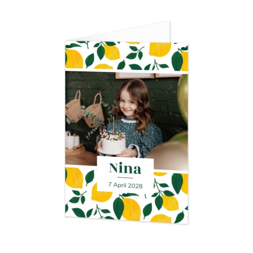 Zesty Lemon Pattern Zesty Lemon Pattern