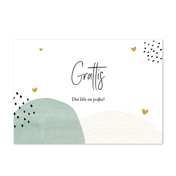 AdditionalNaiveCollageTO