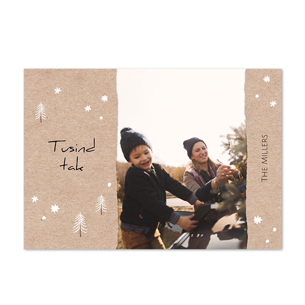 AdditionalCardboardForest AdditionalCardboardForest