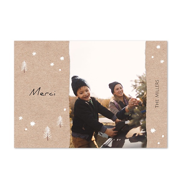 AdditionalCardboardForest