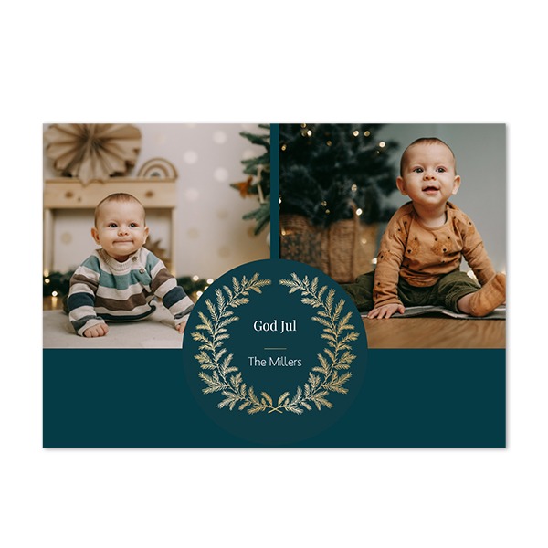 AdditionalElegantPineBranch