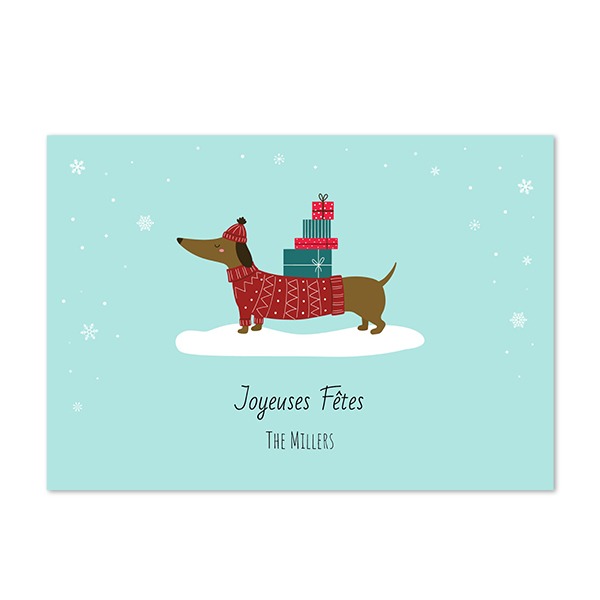 AdditionalSnowyDachshundTO AdditionalSnowyDachshundTO