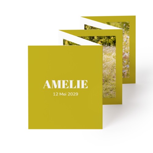 Portfoliokaart Rechthoek (7,1 x 8,8 cm) Portfoliokaart Rechthoek (7,1 x 8,8 cm)