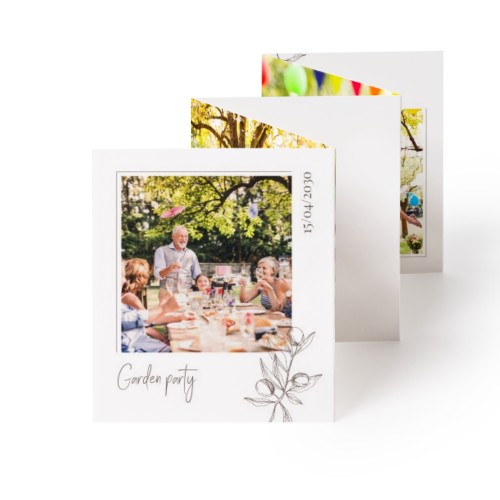 Natural Color Plants