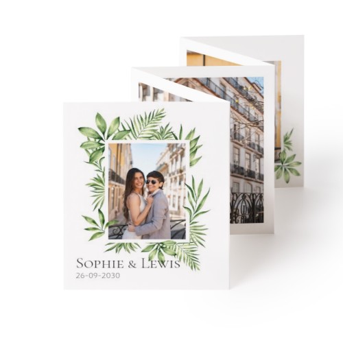 Tropical Plant Frame Tropical Plant Frame