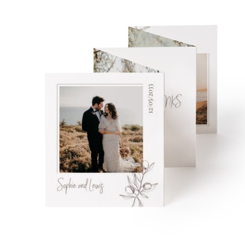 Natural Color Plants