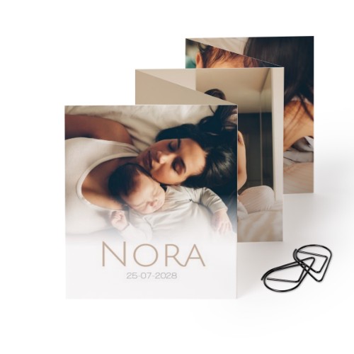 Portfoliokaart Rechthoek Zwarte Paperclip (set van 12) (7,1 x 8,8 cm)