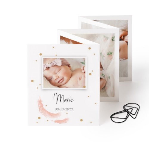 Carte portfolio Portrait - trombone noir (lot de 12) (7,1 x 8,8 cm)