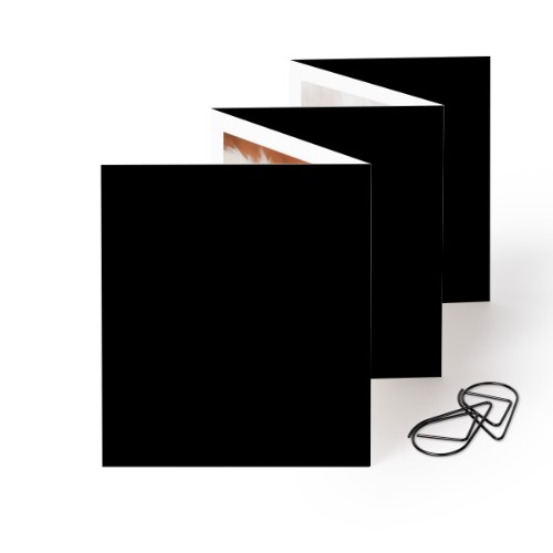 Carte portfolio Portrait - trombone noir (lot de 12) (7,1 x 8,8 cm) Carte portfolio Portrait - trombone noir (lot de 12) (7,1 x 8,8 cm)