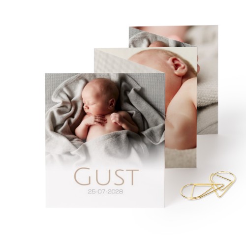 Portfoliokaart Rechthoek Gouden Paperclip (set van 12) (7,1 x 8,8 cm) Portfoliokaart Rechthoek Gouden Paperclip (set van 12) (7,1 x 8,8 cm)