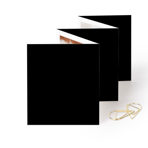 Carte portfolio Portrait - trombone doré - lot de 12 (7,1 x 8,8 cm) Carte portfolio Portrait - trombone doré - lot de 12 (7,1 x 8,8 cm)