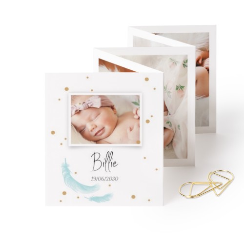 Carte portfolio Portrait - trombone doré - lot de 12 (7,1 x 8,8 cm)