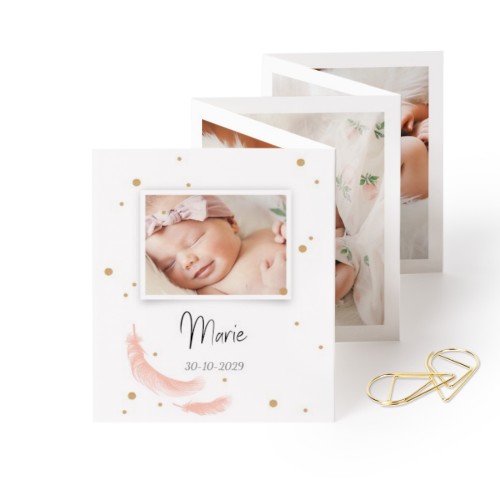 Kuvakortit 10 sivua Pysty Kultaisella pidikkeellä - 12 kpl (7,1 x 8,8 cm)