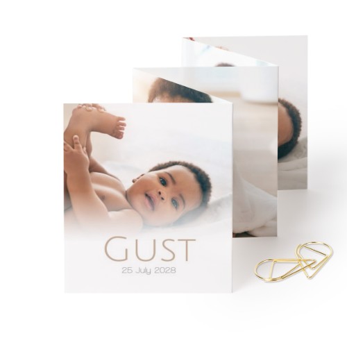 Portfoliokaart Rechthoek Gouden Paperclip (set van 12) (7,1 x 8,8 cm)