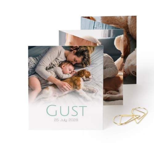 Portfoliokaart Rechthoek Gouden Paperclip (set van 12) (7,1 x 8,8 cm)