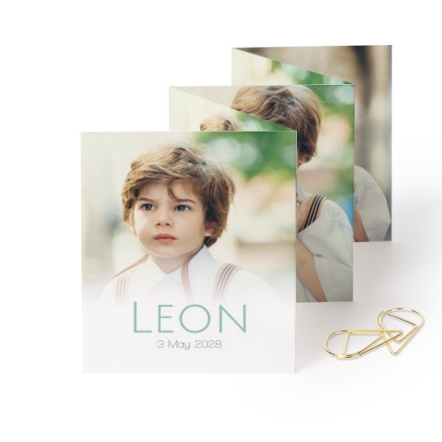 Fold out photo card Portrait Gold paperclip - set of 12 (7,1 x 8,8 cm)