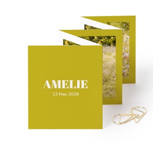 Fold out photo card Portrait Gold paperclip - set of 12 (7,1 x 8,8 cm)