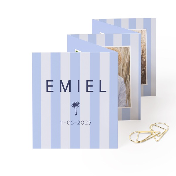 Portfoliokaart Rechthoek Gouden Paperclip (set van 12) (7,1 x 8,8 cm) Portfoliokaart Rechthoek Gouden Paperclip (set van 12) (7,1 x 8,8 cm)