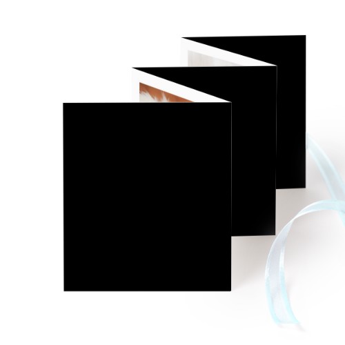 Carte portfolio Portrait (lot de 12) ruban Bleu (7,1 x 8,8 cm) Carte portfolio Portrait (lot de 12) ruban Bleu (7,1 x 8,8 cm)