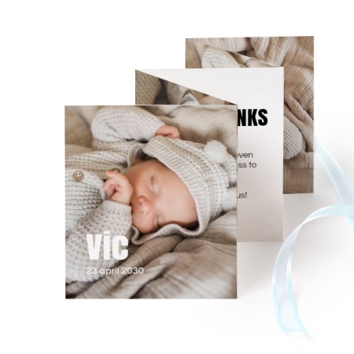 Carte portfolio Portrait (lot de 12) ruban Bleu (7,1 x 8,8 cm)