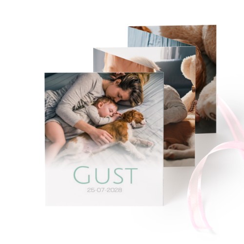 Carte portfolio Portrait (lot de 12) ruban rose (7,1 x 8,8 cm)