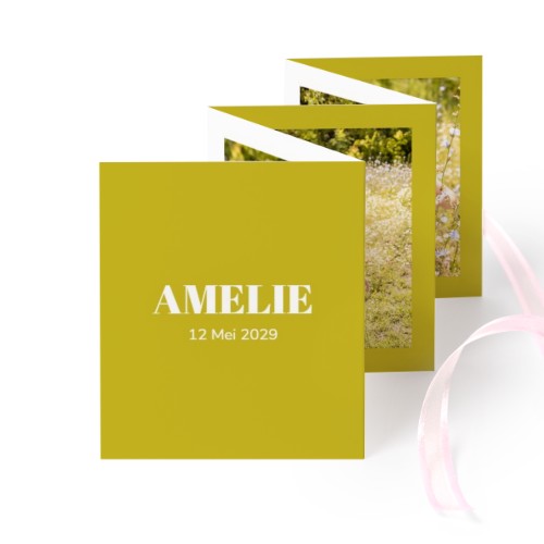 Portfoliokaart Rechthoek (Set van 12) Roze lint (7,1 x 8,8 cm)