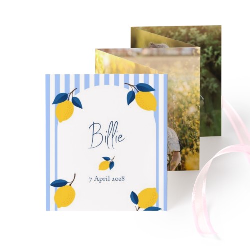 Portfoliokaart Rechthoek (Set van 12) Roze lint (7,1 x 8,8 cm)