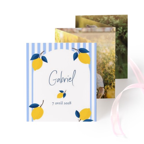 Carte portfolio Portrait (lot de 12) ruban rose (7,1 x 8,8 cm) Carte portfolio Portrait (lot de 12) ruban rose (7,1 x 8,8 cm)