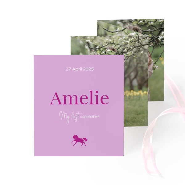 Colourful Horse Name Colourful Horse Name