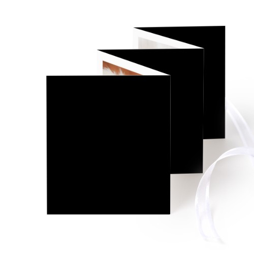 Carte portfolio Portrait (lot de 12) ruban blanc (7,1 x 8,8 cm)