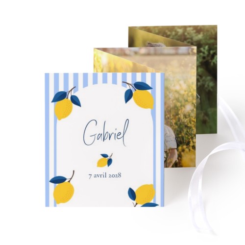 Motif citrons Motif citrons