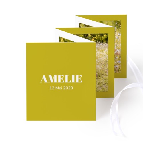 Portfoliokaart Rechthoek (Set van 12) Wit lint (7,1 x 8,8 cm)