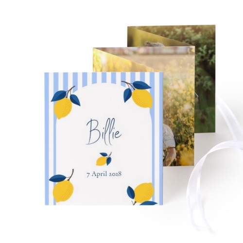 Lemon Stripes Party Lemon Stripes Party