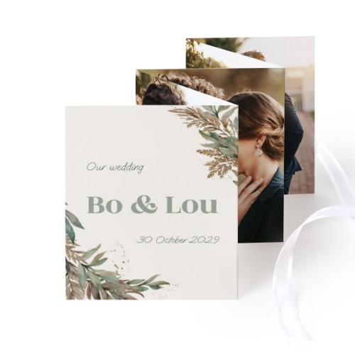 Botanical Collage Botanical Collage