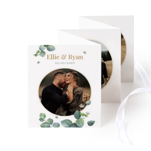 portfoliocard7cmv_eucalyptusleaves