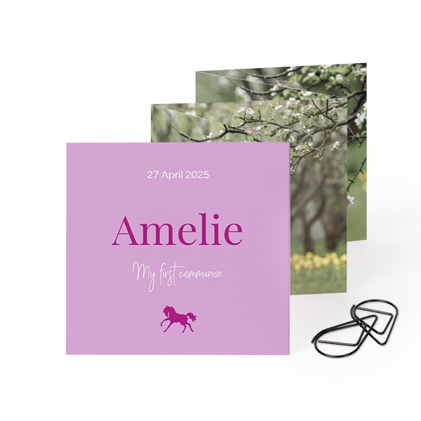 Colourful Horse Name Colourful Horse Name