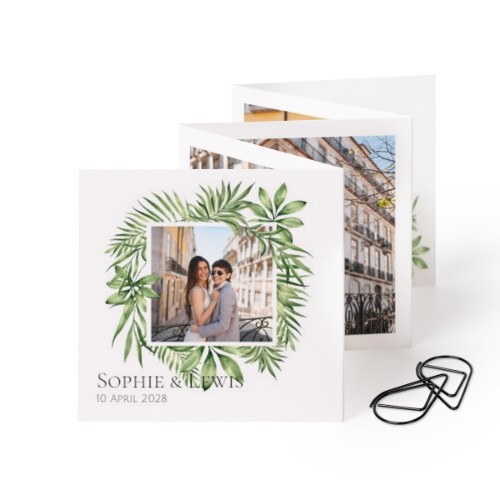 Tropical Plant Frame