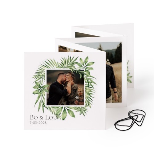 Tropical Plant Frame